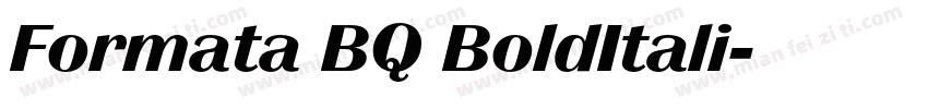 Formata BQ BoldItali字体转换